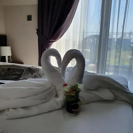 Hotell Family Novel 2*